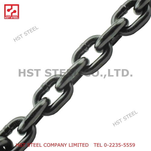 โซ่อัลลอย POWER CHAIN™ G80